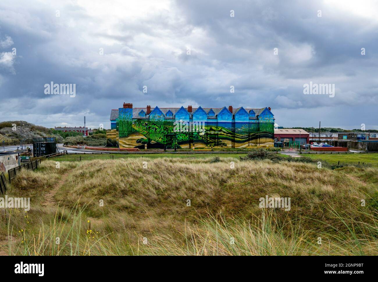 Work is completed on artist Paul Curtis' sand lizards mural which