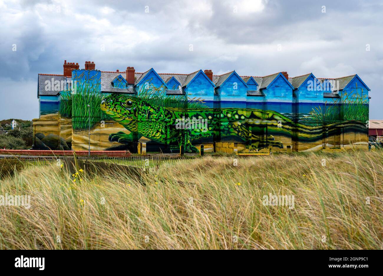 Work is completed on artist Paul Curtis' sand lizards mural which
