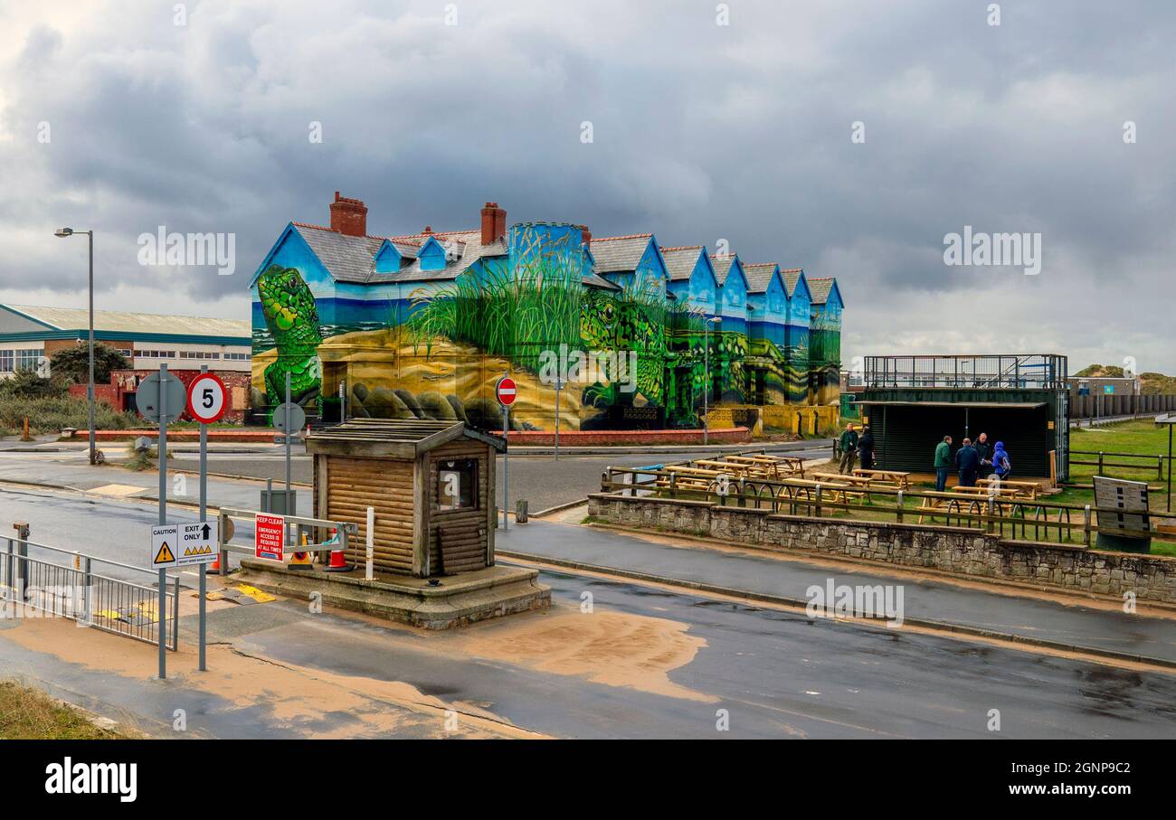 Work is completed on artist Paul Curtis' sand lizards mural which