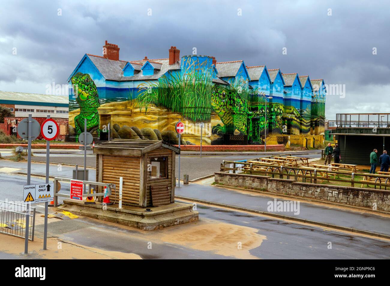 Work is completed on artist Paul Curtis' sand lizards mural which