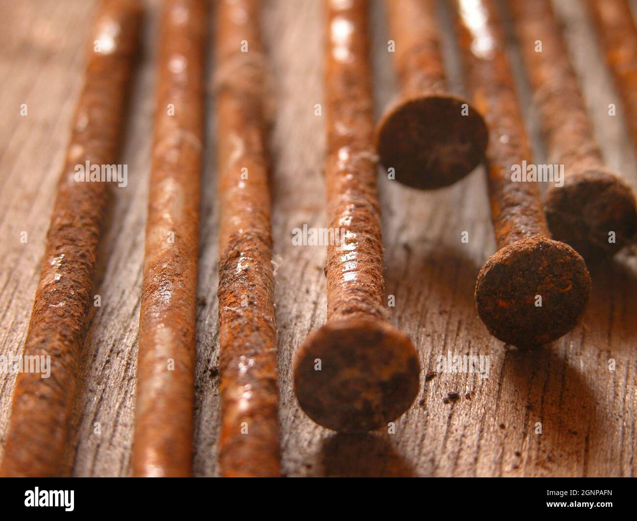rusty nails Stock Photo