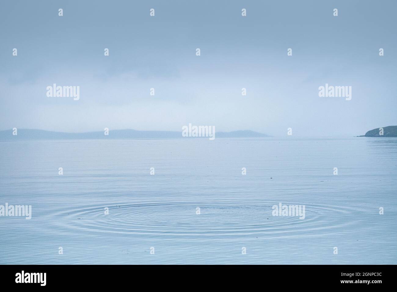 Circular Ripples expand in a flat calm sea off the coast of Scotland ...