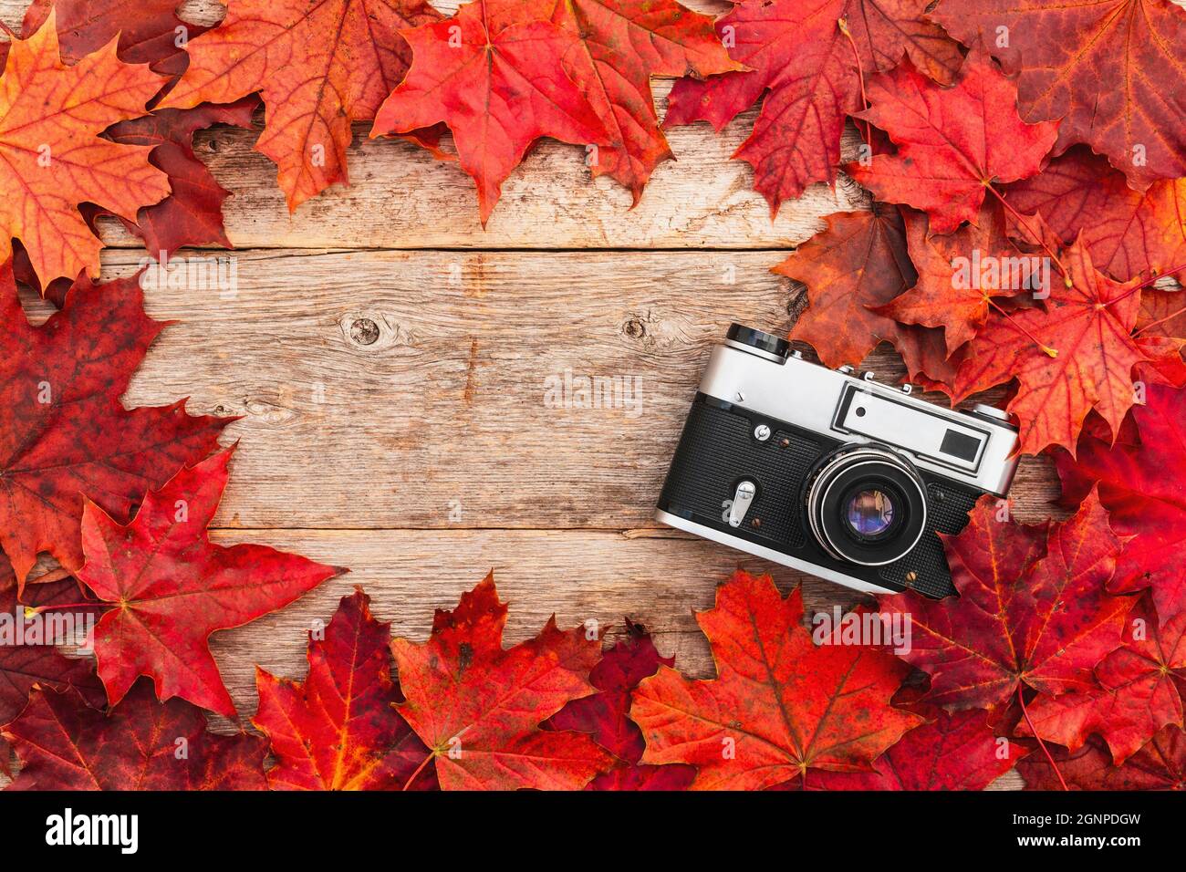 Old camera and red autumn leaves,top view Stock Photo