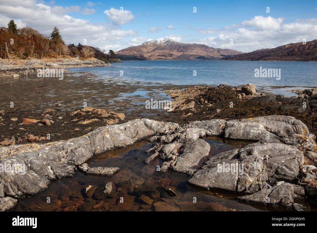 Loch Sunart, looking east, Argyll, Scotland, UK Stock Photo