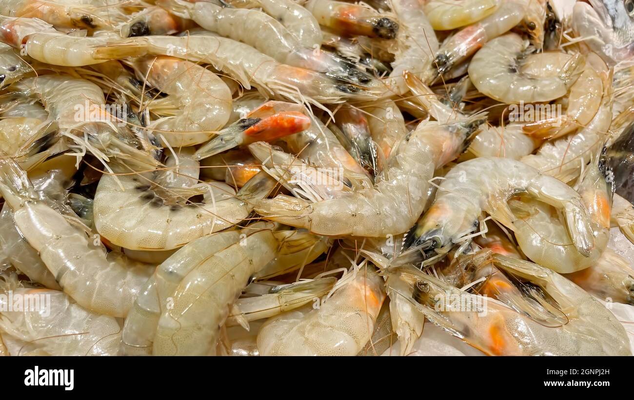 ready for sale seafoods at the fisherman's counter Stock Photo Alamy