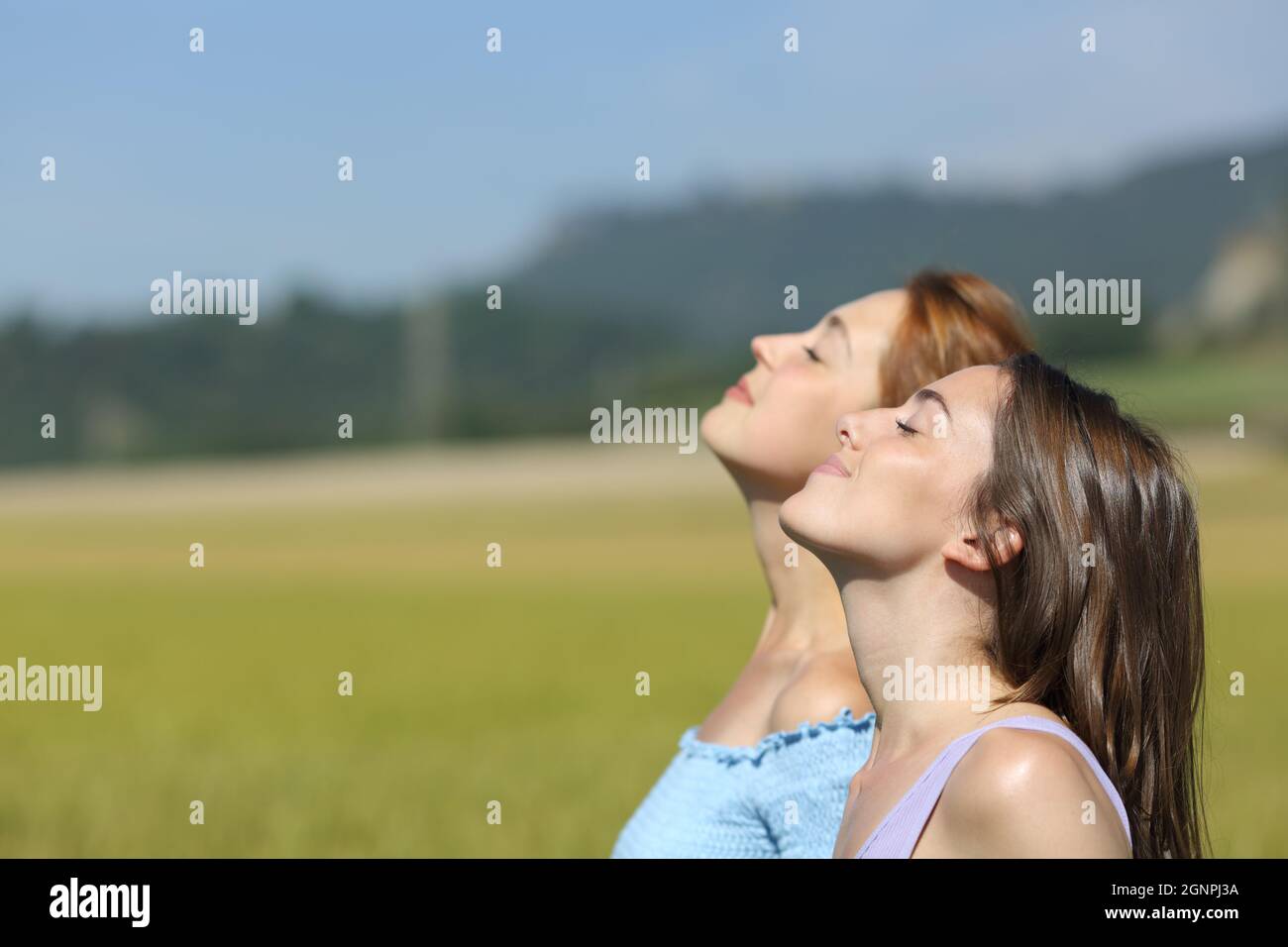Side view portrait of two women breathing fresh air in a wheat field ...