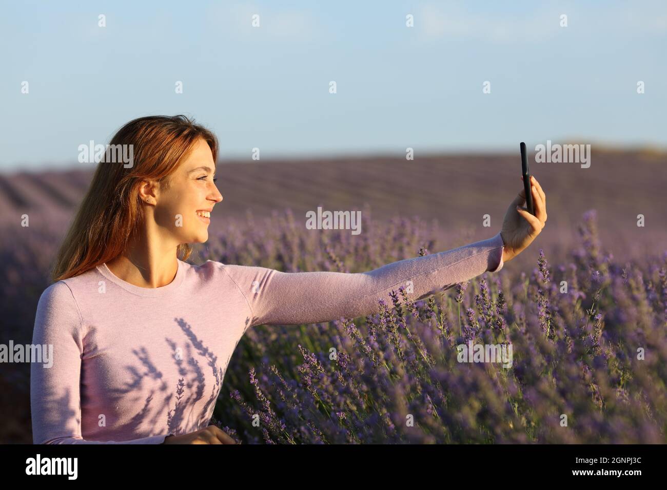 Profile of a happy woman taking selfie with smart phone in lavender field at sunset Stock Photo