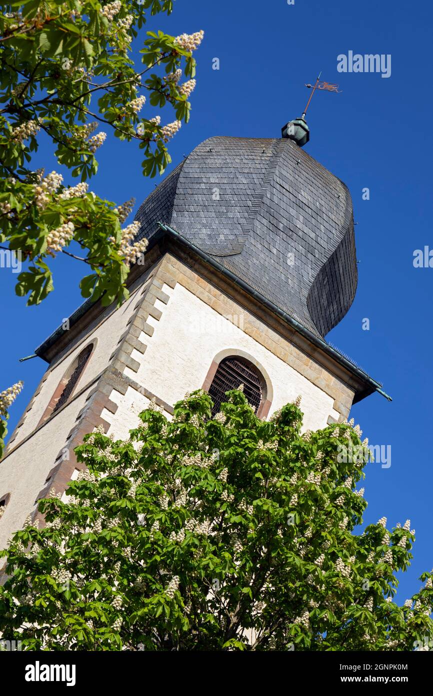 Europe, Luxembourg, Mersch, The Alen Tower (Alen Tuerm) showing detail of Onion Dome amongst Chestnut Trees Stock Photo