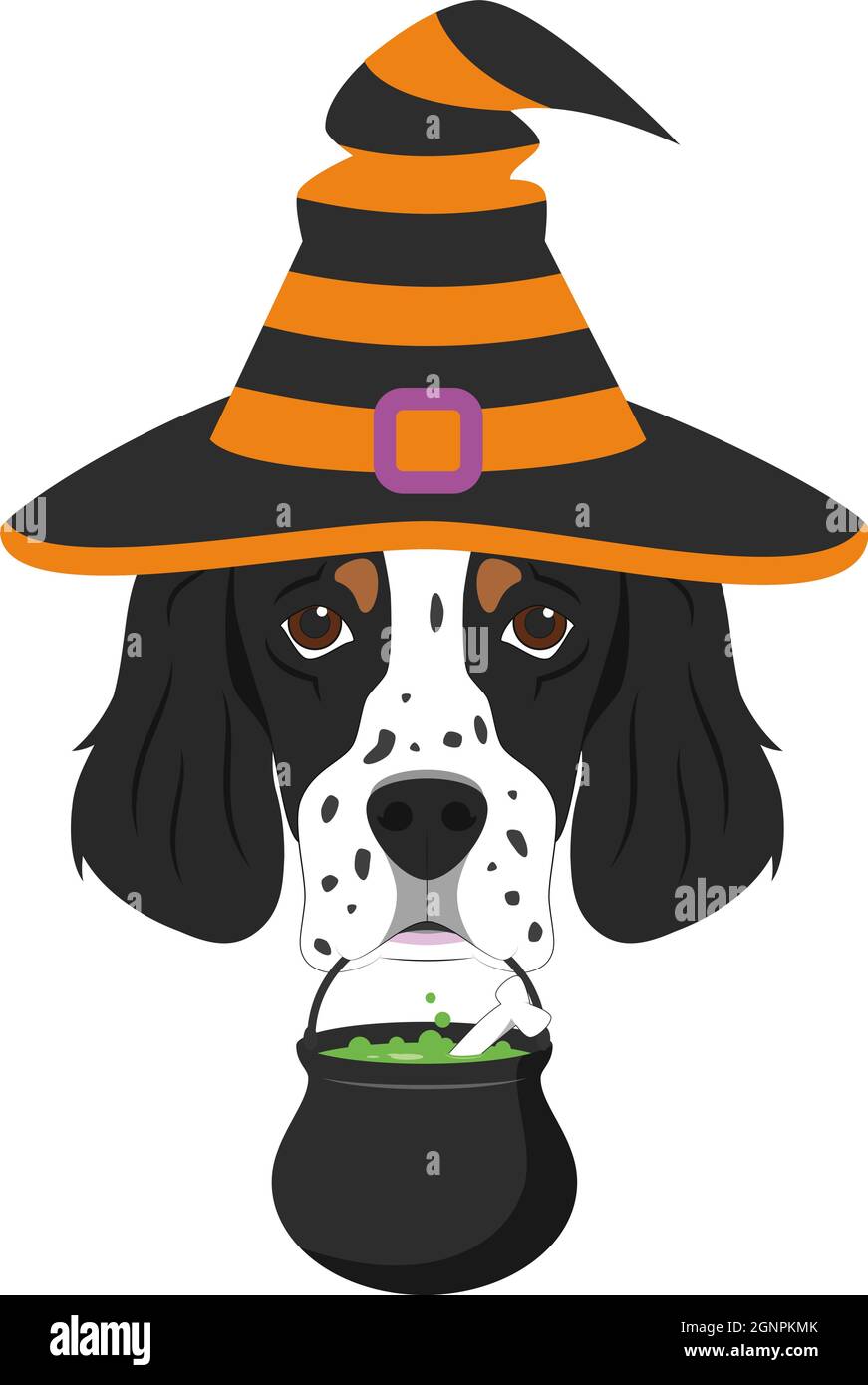 English top setter hat