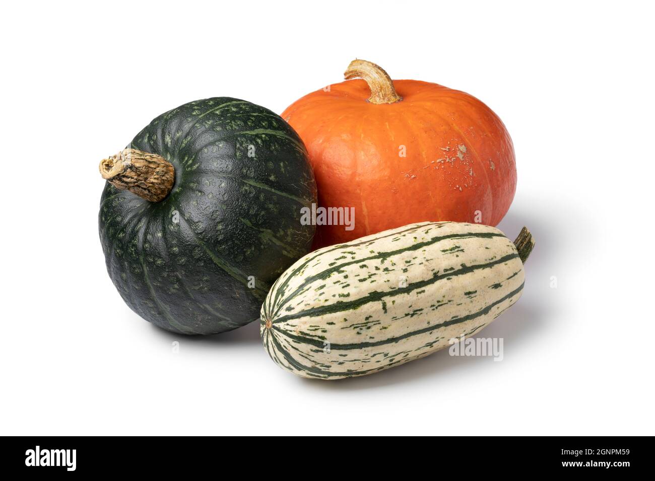Variety of different pumpkins in autumn on white background Stock Photo