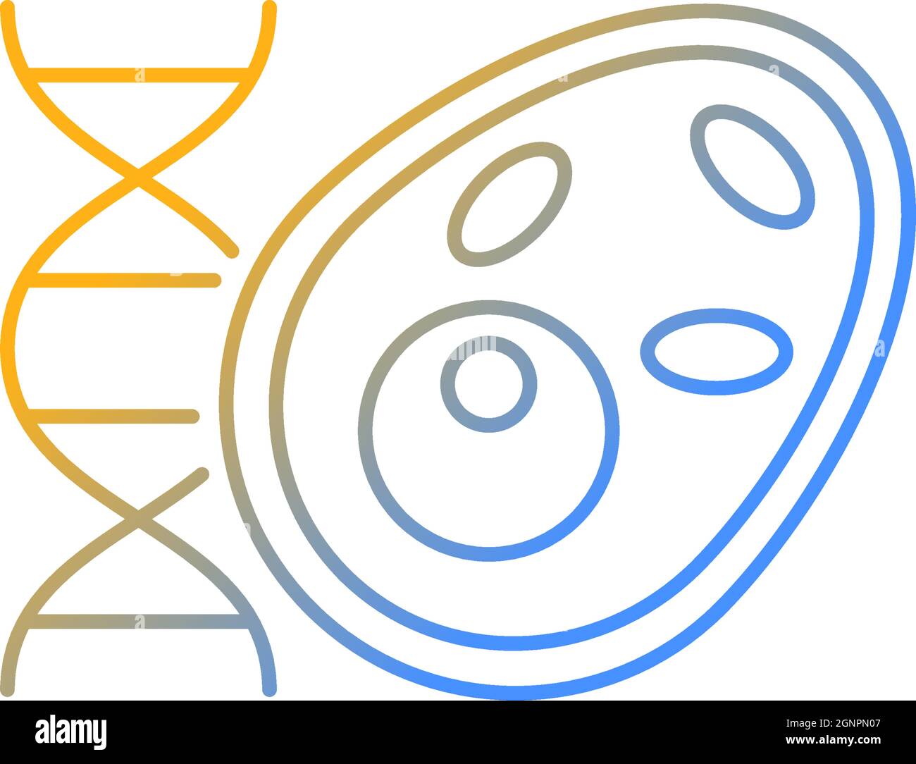Biology gradient linear vector icon Stock Vector Image & Art - Alamy