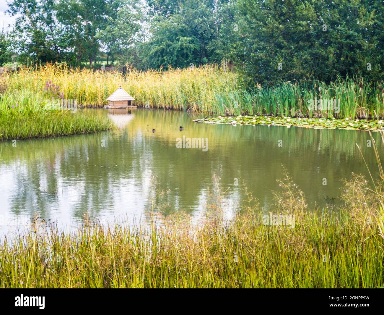 Duck house by pond hires stock photography and images Alamy