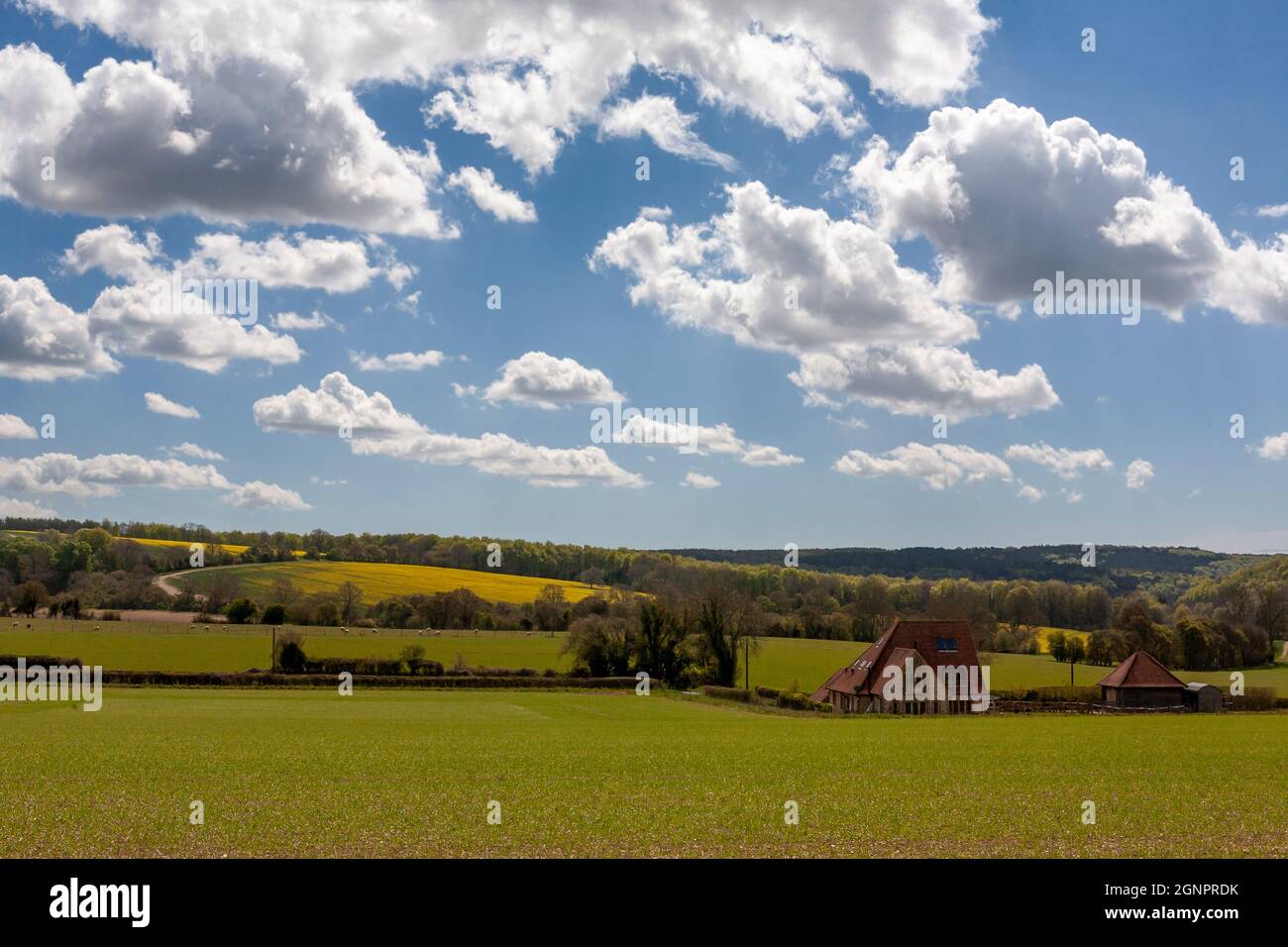 Countryside near East Marden, South Downs National Park, West Sussex, UK Stock Photo
