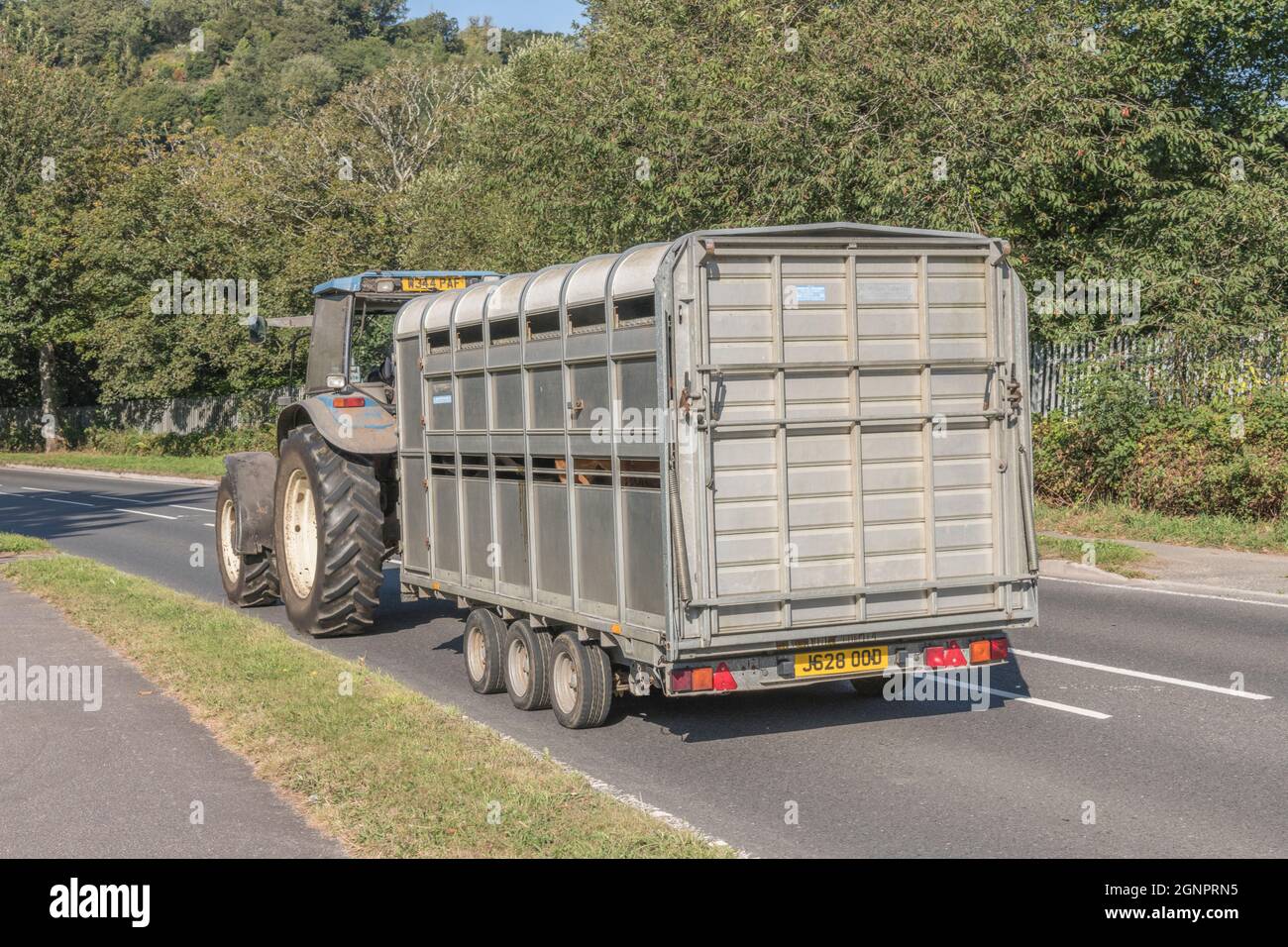 Blue New Holland farm tractor on open country rural road, pulling cattle / livestock trailer downhill. Model is New Holland TM125. Stock Photo