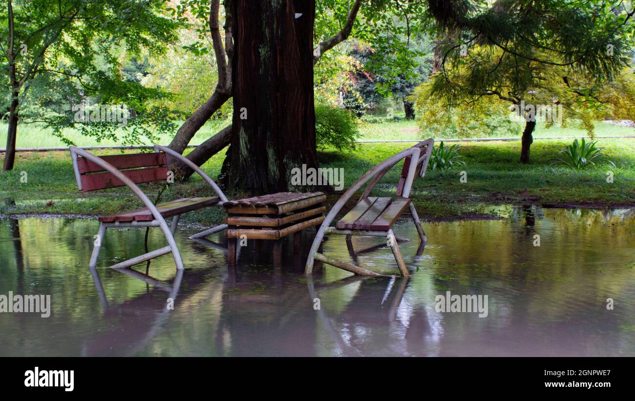 Two wet empty benches and a table in a flooded park in the shade of trees. Recreation area in summer. After heavy rains, the park is flooded. Stock Photo