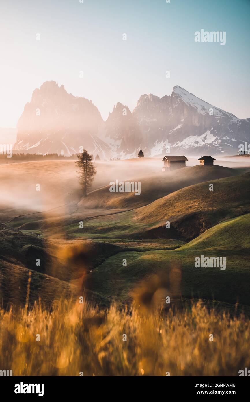 Vertical shot of the Dolomites covered in the snow and fog under the ...