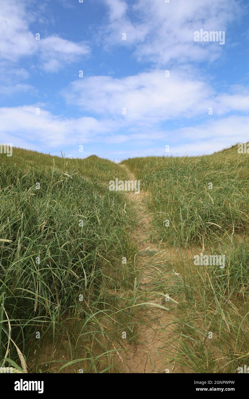 Beautiful shot grassy beach hi-res stock photography and images - Alamy