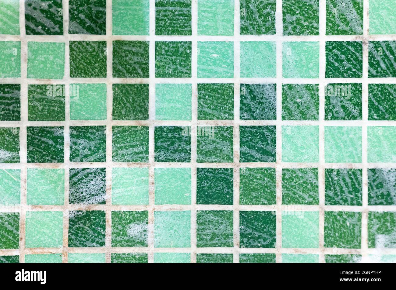 mold on joints between the ceramic tile in bathroom with a cleaning