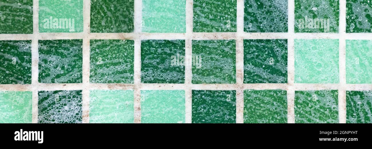 mold on joints between the ceramic tile in bathroom with a cleaning