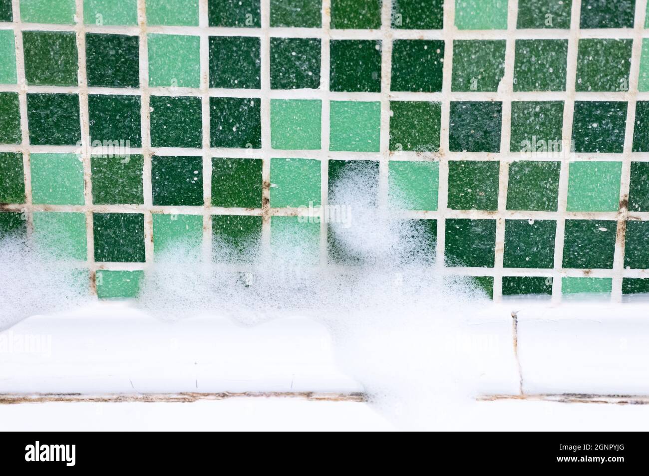 mold on joints between the ceramic tile in bathroom with a cleaning