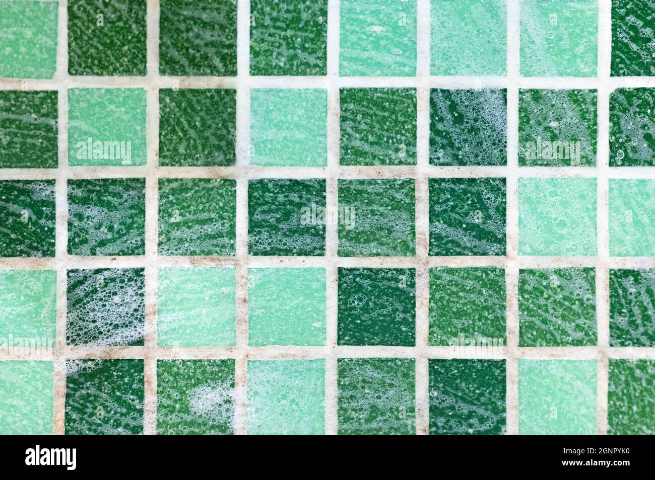 mold on joints between the ceramic tile in bathroom with a cleaning