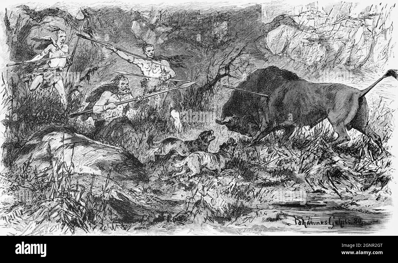 Hunting aurochs, ( Bos primigenius) in the jungles of Grand Duchy Oldenburg in former times, North Germany historic illustration 1880, Stock Photo