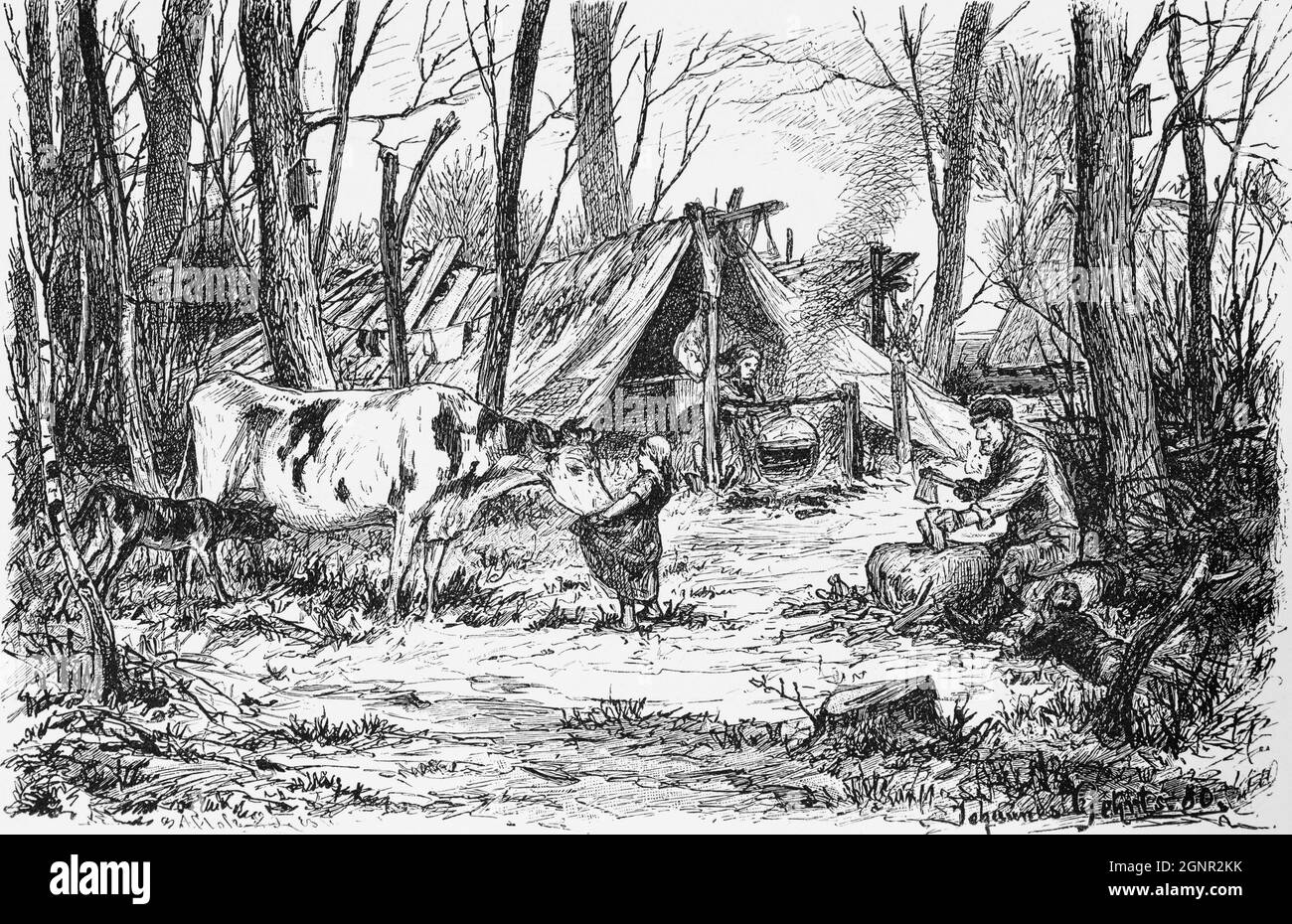 Bivouac camp in the wet marshlands of the Weser lowlands with young girl feeding a cow,, near Bremen, North Germany, historic illustration 1880, Stock Photo