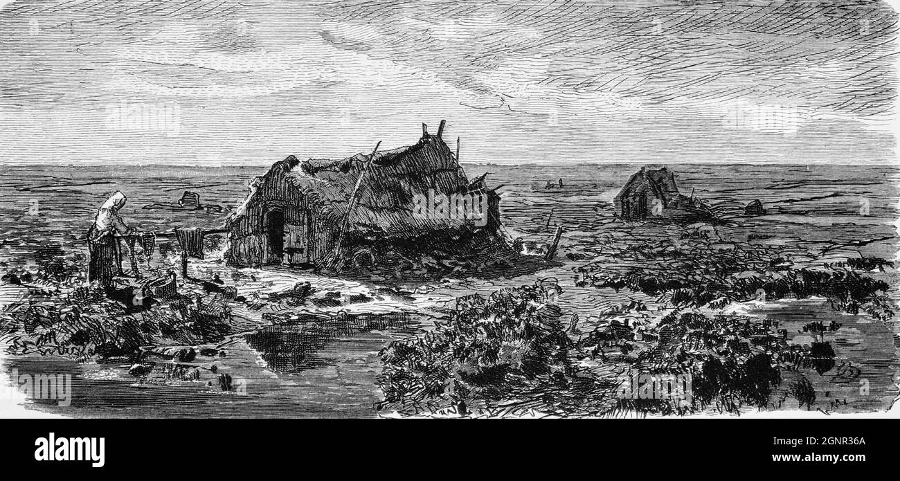 Hard life in an East Frisian moor, historic illustration 1880,, East Frisia, Lower Saxony, Northern Germany Stock Photo