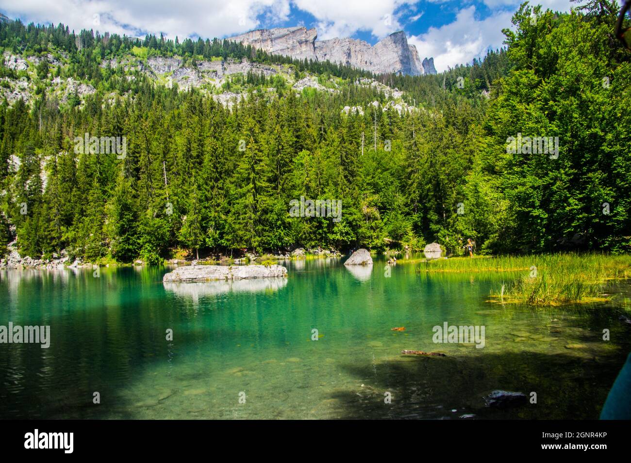 lake vert in chamonix in haute savoie in france Stock Photo