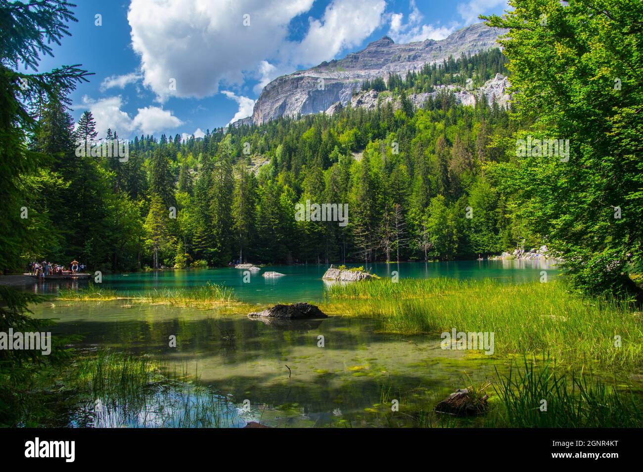 lake vert in chamonix in haute savoie in france Stock Photo