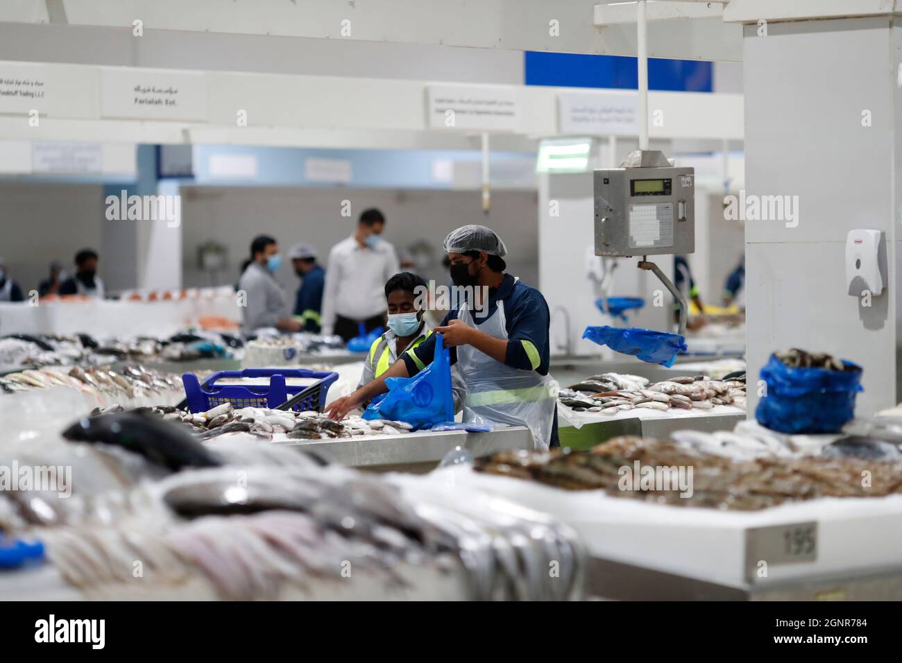 Fresh fish on sale at the Dubai Fish market. Dubai. United Arab Emirates Stock Photo Alamy