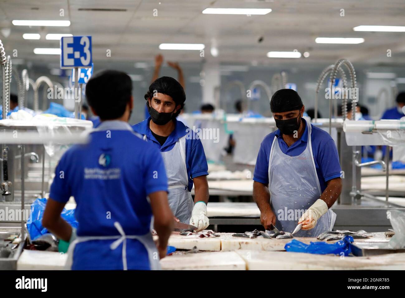 Dubai Fish market. Workers cleaning fish. United Arab Emirates Stock