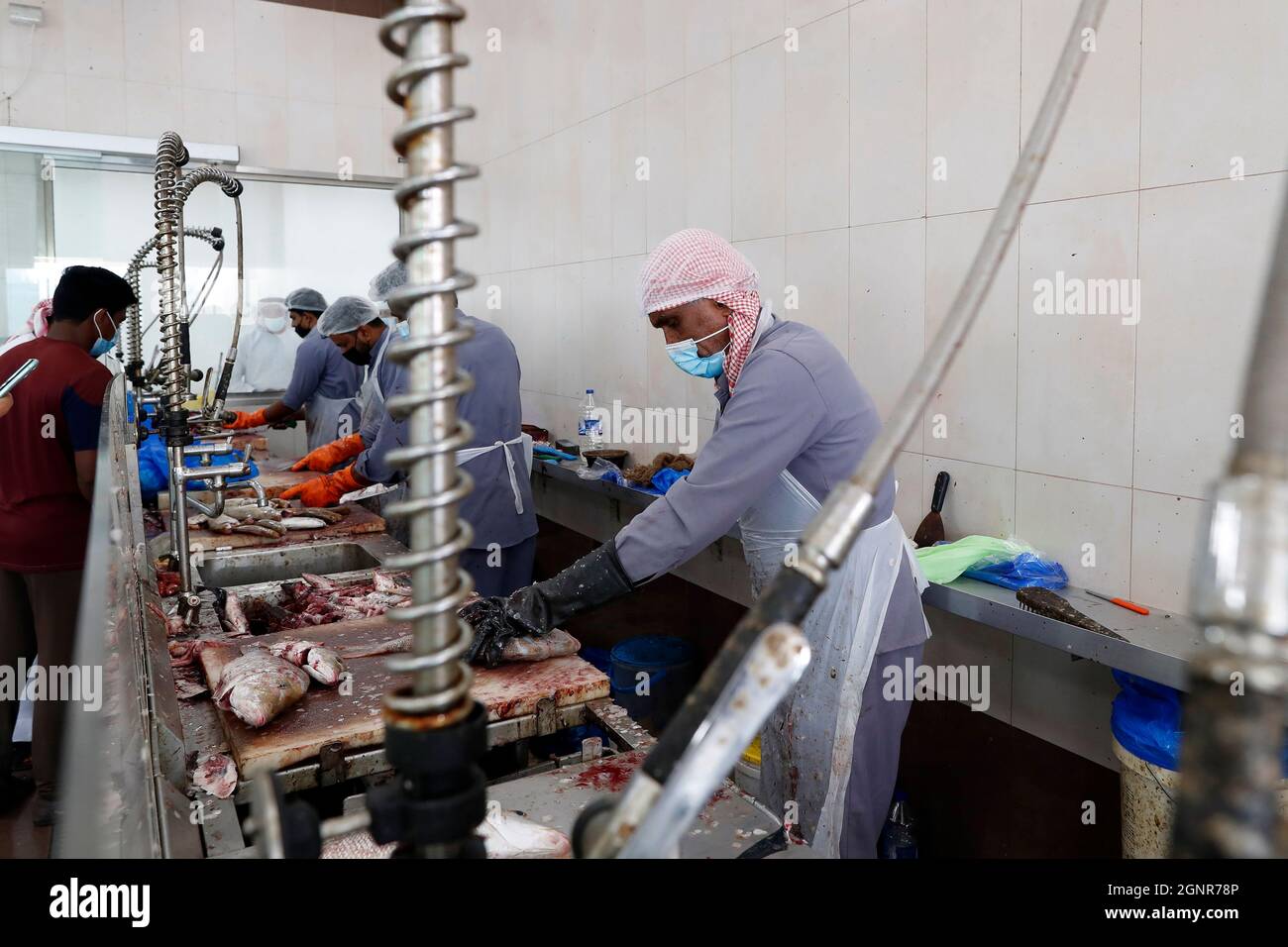 Fish market. Workers cleaning fish. United Arab Emirates Stock Photo ...