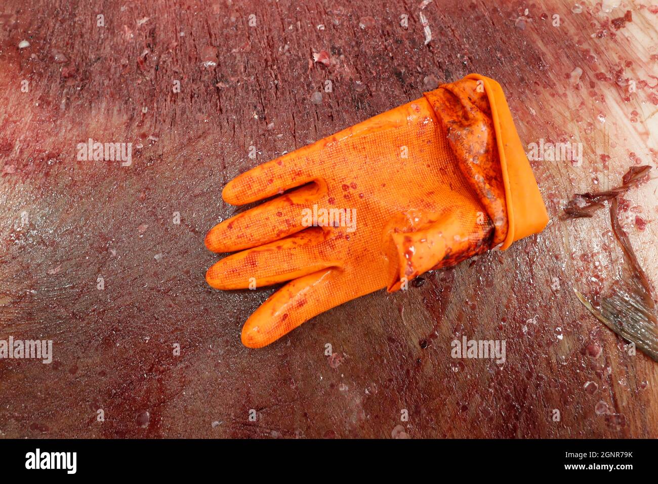 Fish market. Orange glove. United Arab Emirates Stock Photo Alamy