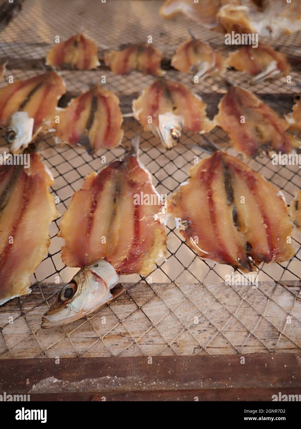 Dry Fish, Nazarè, Portugal Stock Photo Alamy