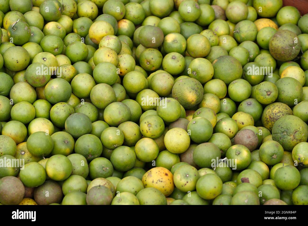 Oranges for sale on the side of the road.  Benin. Stock Photo