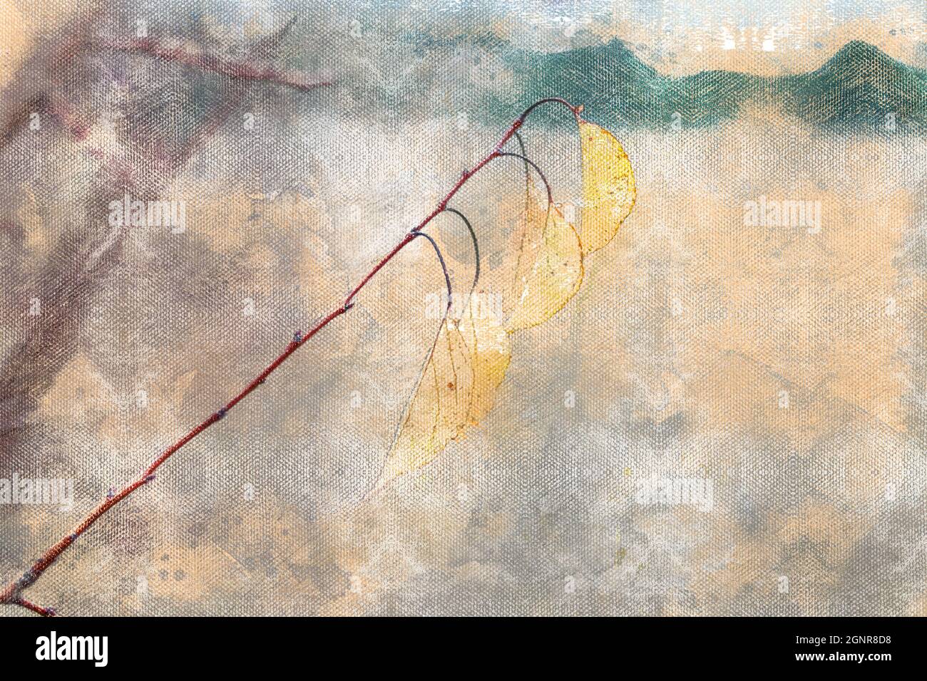 Painting of thin branch with leaves hi-res stock photography and images ...