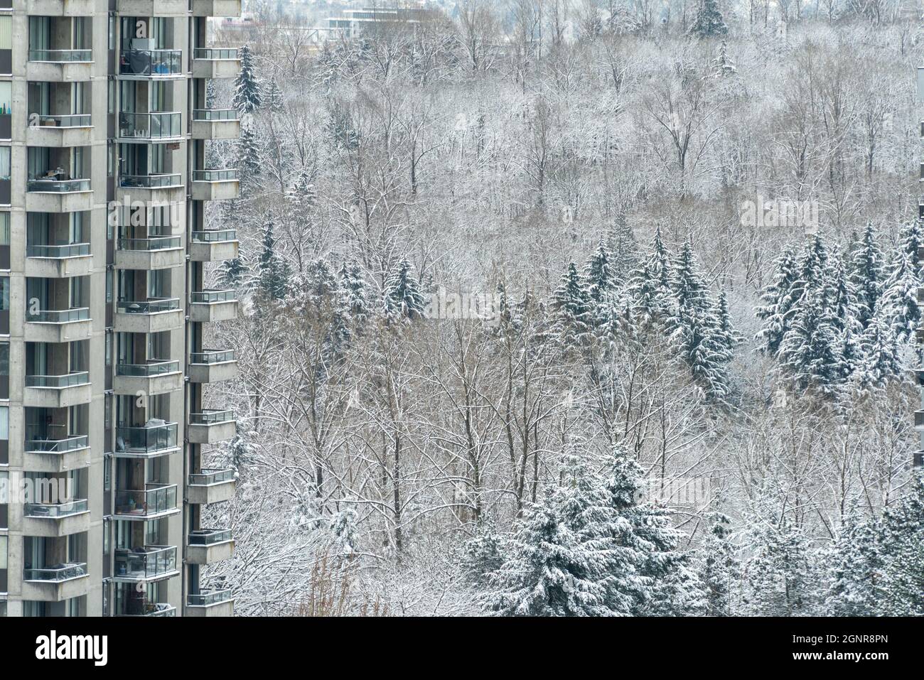 Part of high rise building on winter forest background Stock Photo - Alamy