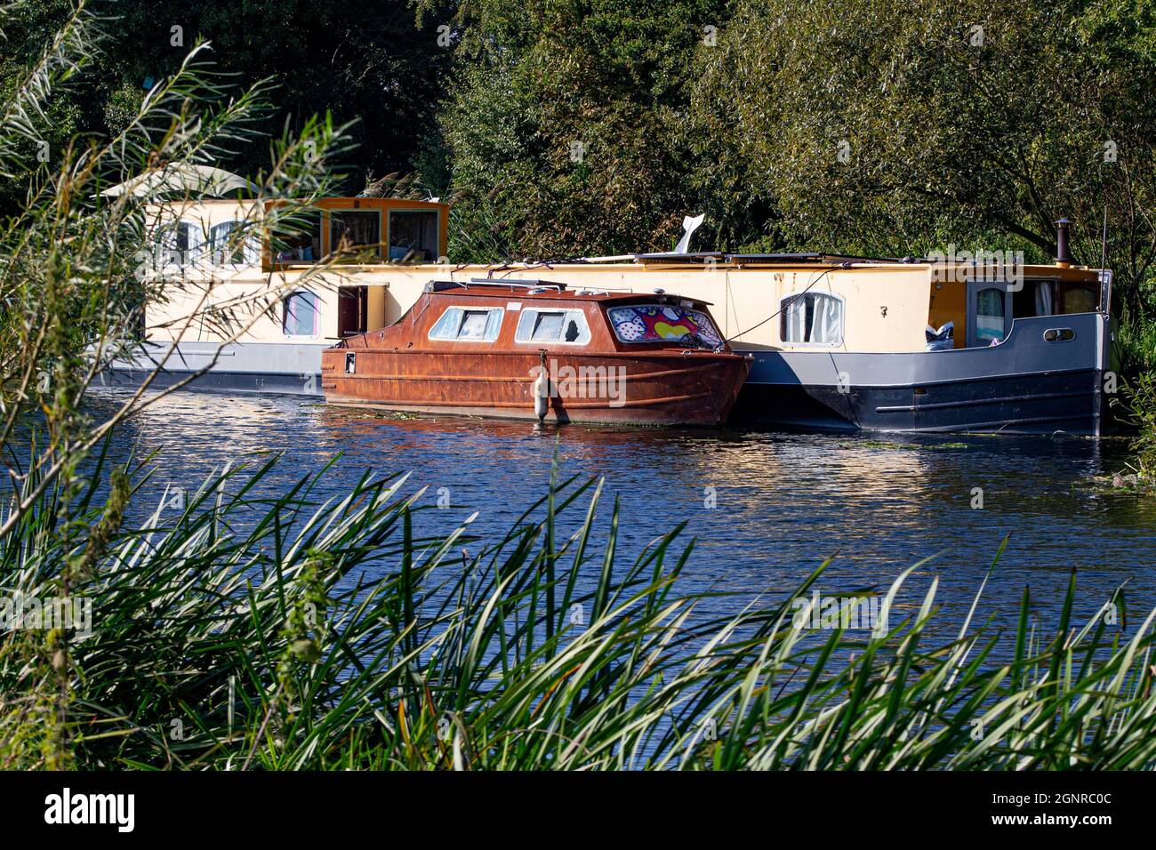 River boats on the River Great Ouse, St Ives in Cambridgeshire Stock Photo
