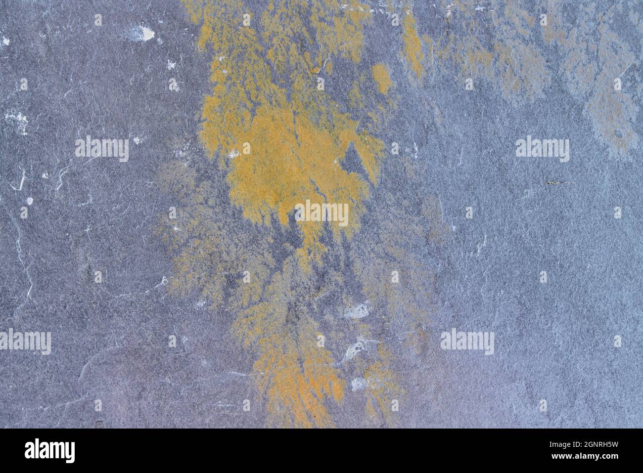 Bluestone Rust Color Rough stone texture with rust in blue and yellow colors with orang ...