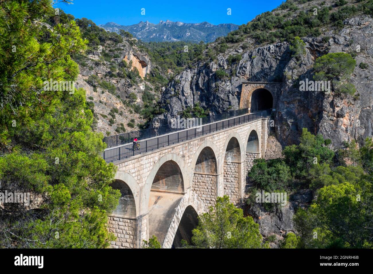 Pont de Riberola bridge on the Val de Zafán greenway between Benifallet Baix Ebre and Pinell de Brai Terra Alta villages (Tarragona, Catalonia, Spain) Stock Photo