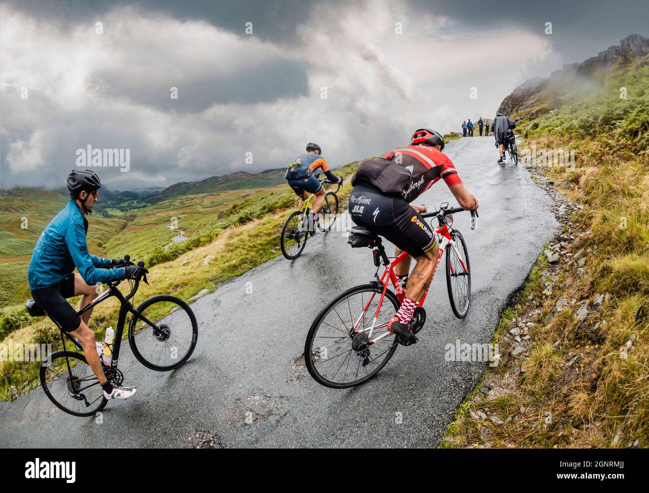 the fred whitton