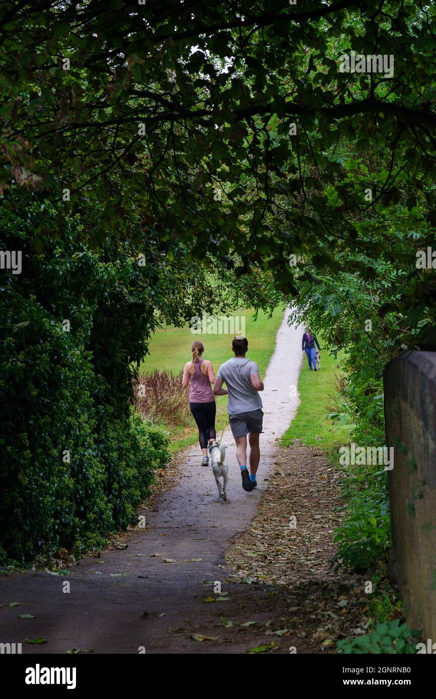 Running straight with their dog on a path past an overhanging tree in Harrogate, a man and woman in shorts and a Tracksuit, North Yorkshire, UK. Stock Photo