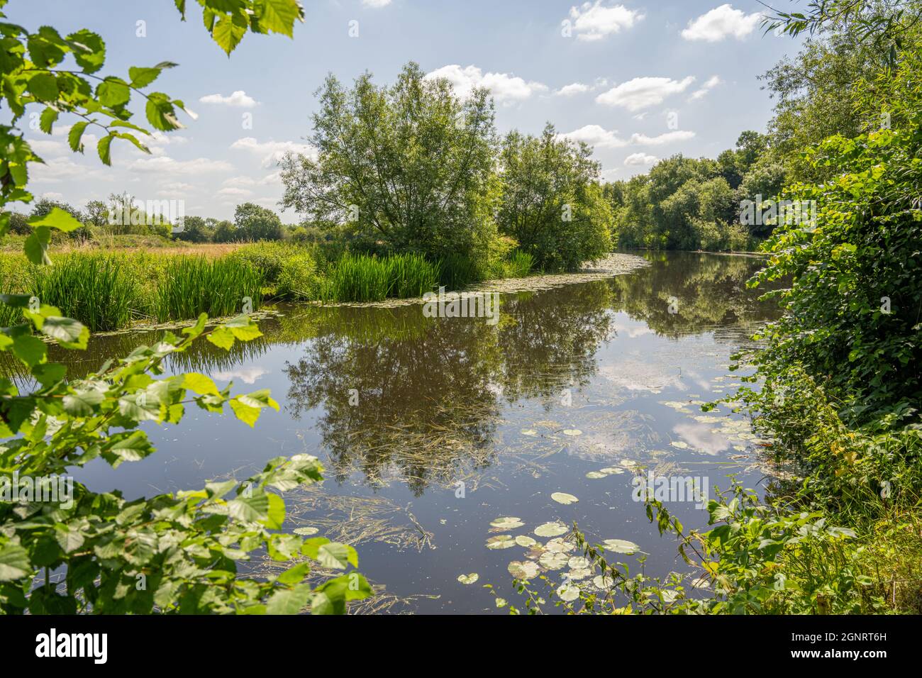 River Soar between Rothley and River Soar Mountsorrel Leicestershire. Stock Photo