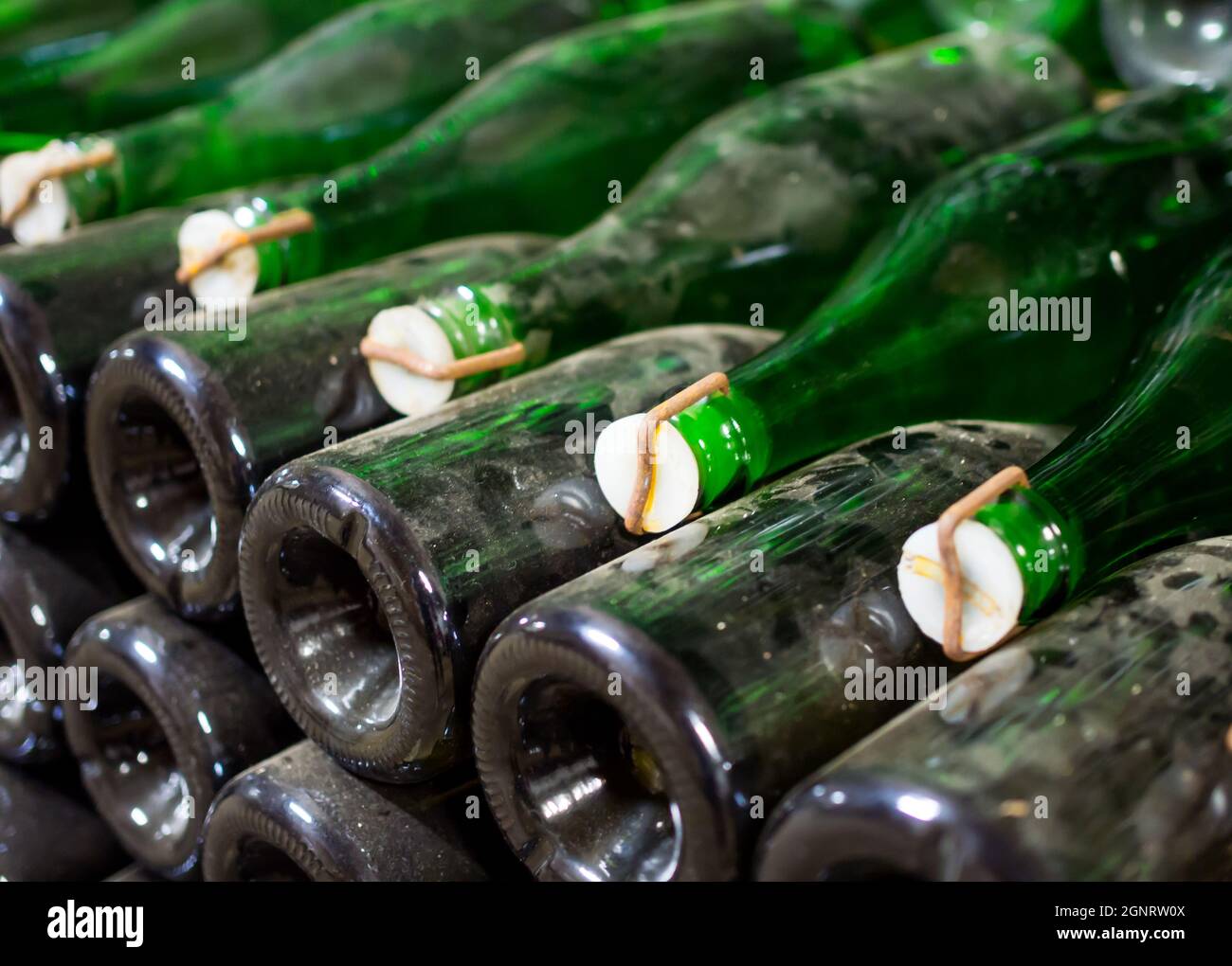 Rows of aged champagne bottles Stock Photo Alamy