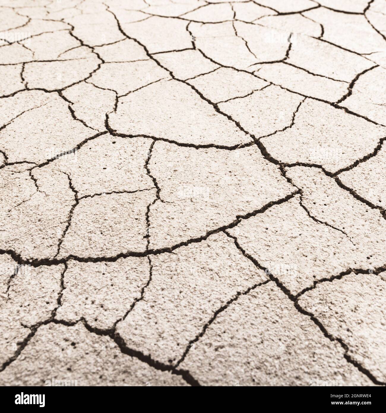 Close shot cracked dry earth. For water crisis, UK drought, parched earth, crop loss, European / US heatwave, hot summer, aridification, subsidence. Stock Photo