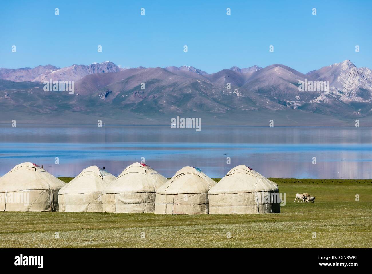 Kyrgyz yurts on the shore of mountain lake Stock Photo