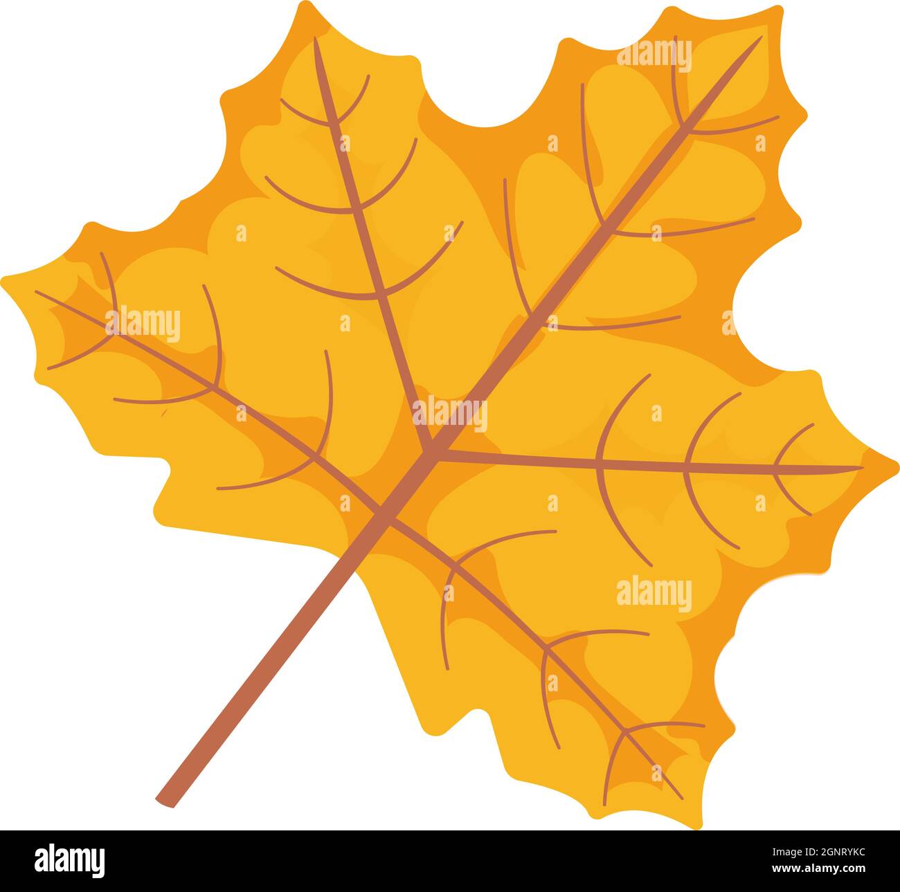 Autumn leaf object clapart. Birch and oak icon Stock Vector Image & Art ...