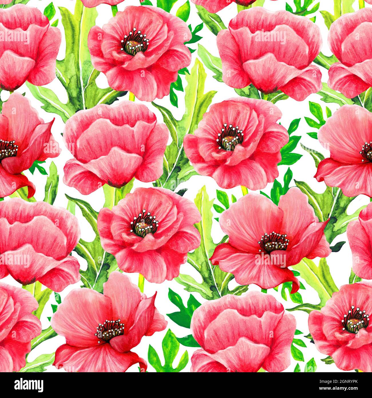 Poppy flowers watercolor seamless pattern Stock Photo - Alamy