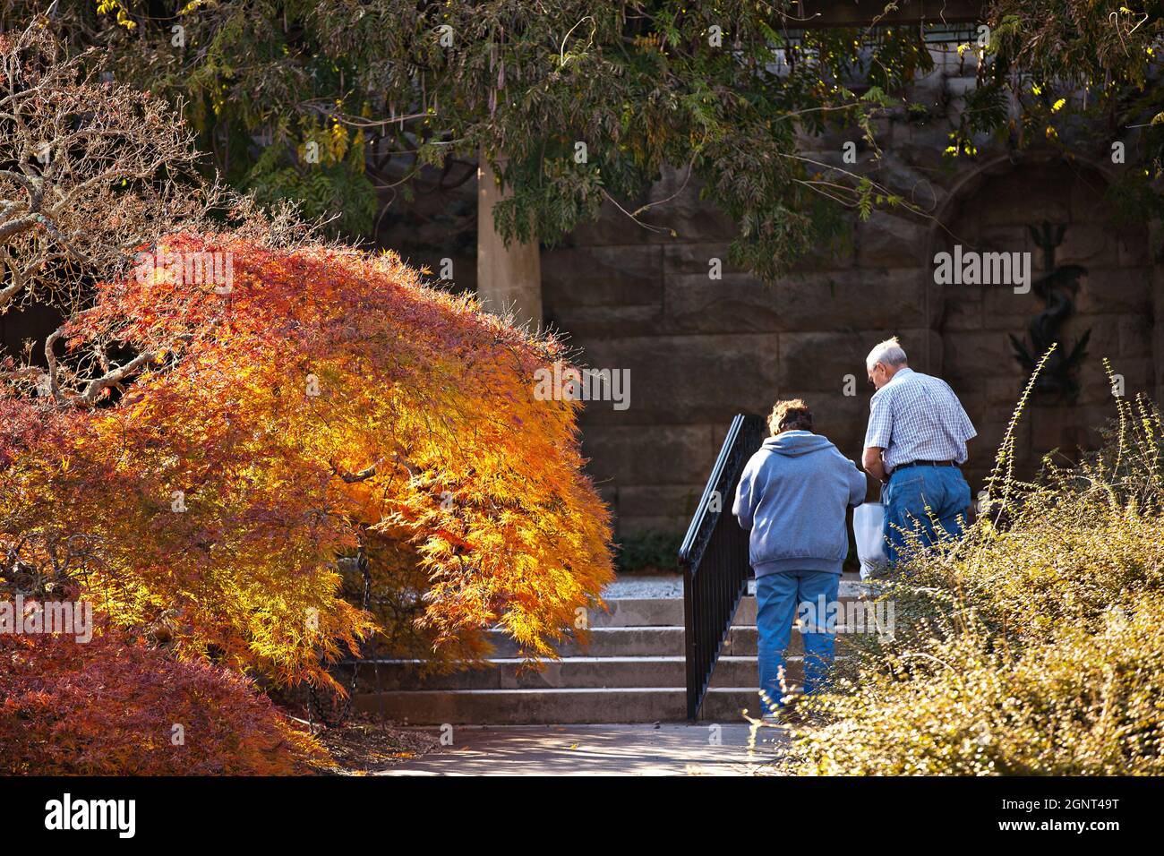 An elderly couple walks around the walled gardens of the Biltmore Estate during autumn in Asheville, North Carolina. The house, privately owned by the Vanderbilt family, is the largest home in America with over 250 rooms. Stock Photo